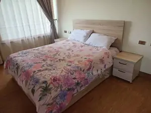 Furnished 2bdrm Apartment in Bole for rent