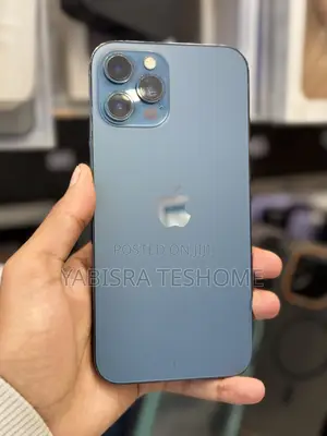 Apple iPhone 12 Pro Max 256 GB Blue