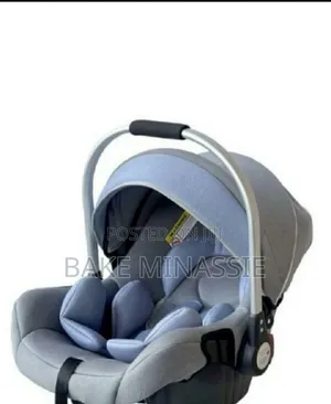 Photo - Car Seat and Baby Holder