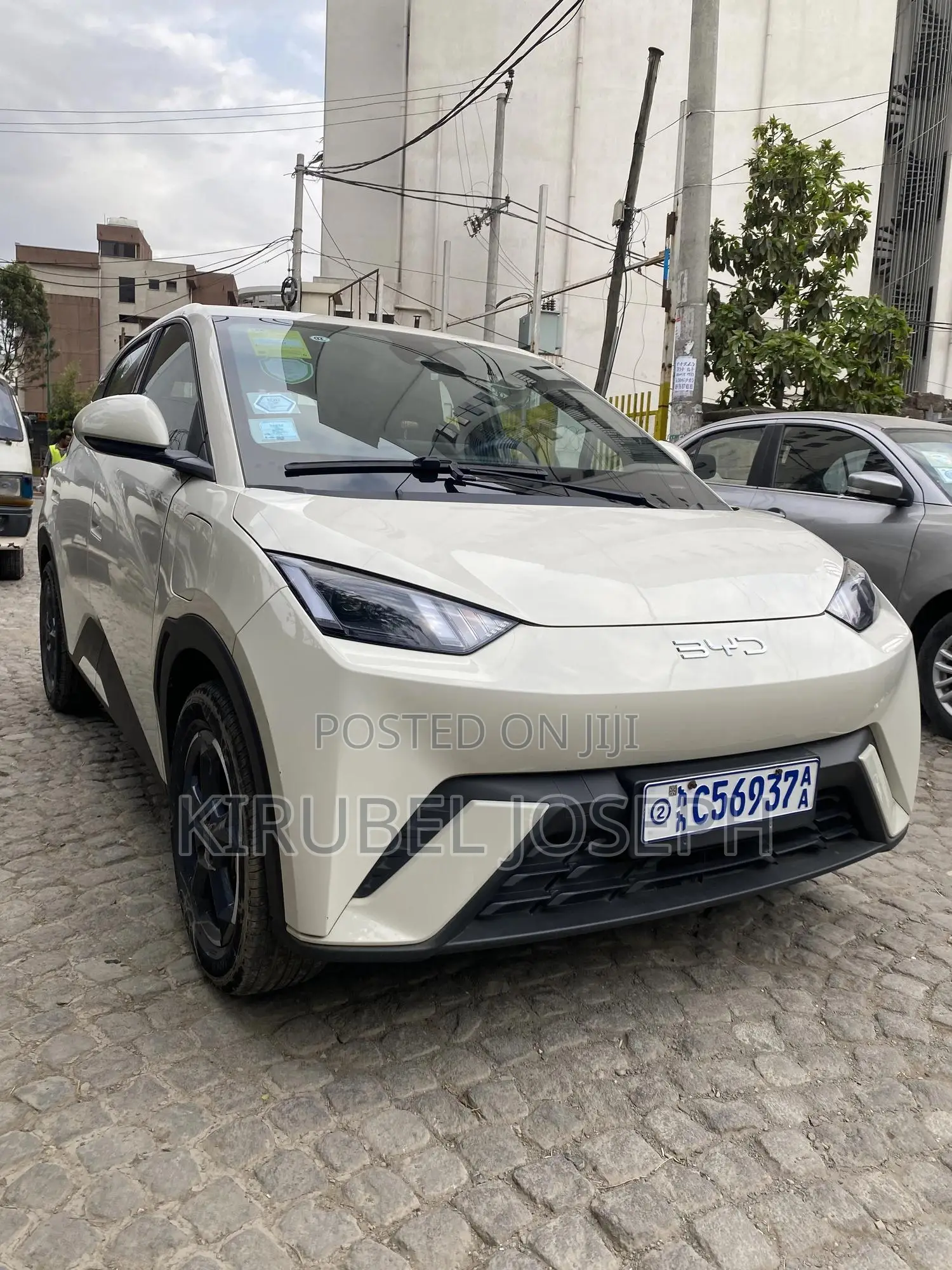 BYD Seagull 2024 Off white