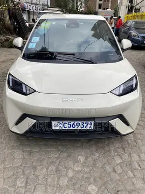 Photo - BYD Seagull 2024 Off white