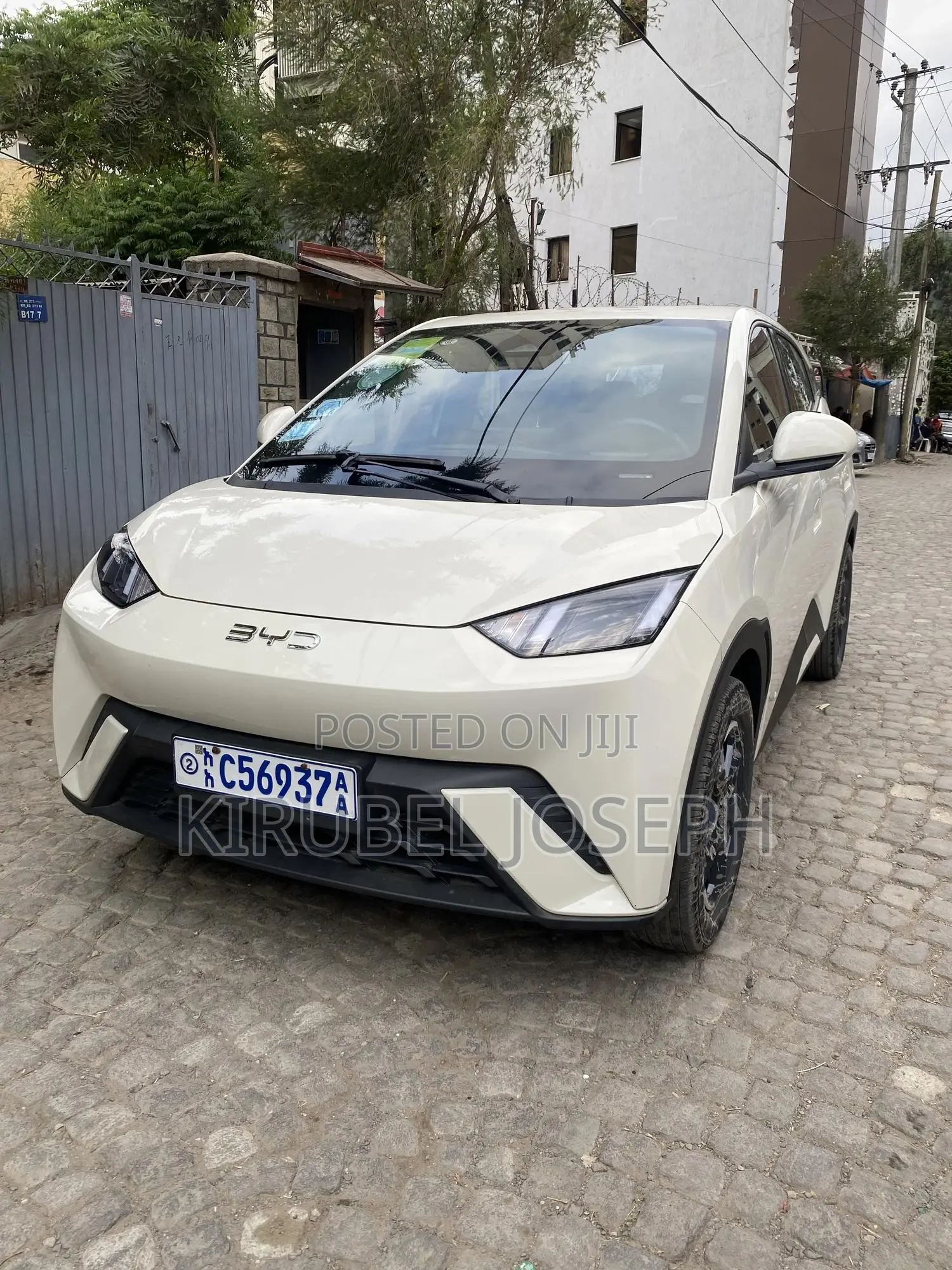 BYD Seagull 2024 Off white