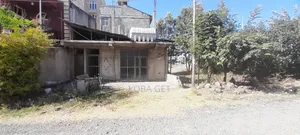 አስቸካይ የሚሸጥ ቢዝነስ ባታ