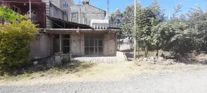 አስቸካይ የሚሸጥ ቢዝነስ ባታ