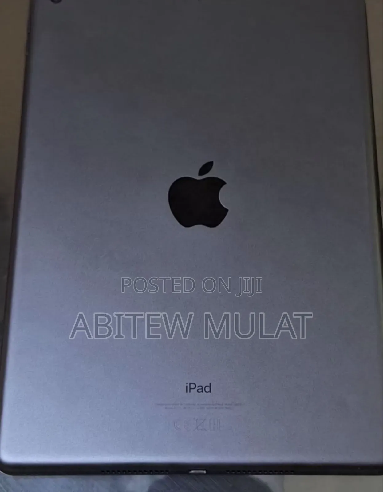 New Apple iPad 10.2 (2019) 256 GB