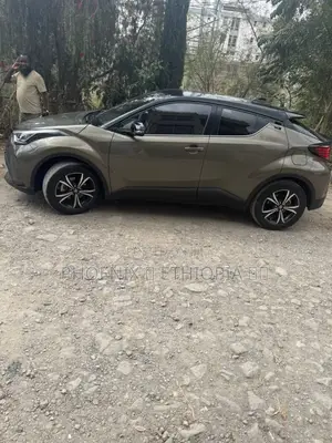 Toyota C-HR 2022 Gray