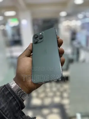 Apple iPhone 13 Pro Max 256 GB Green