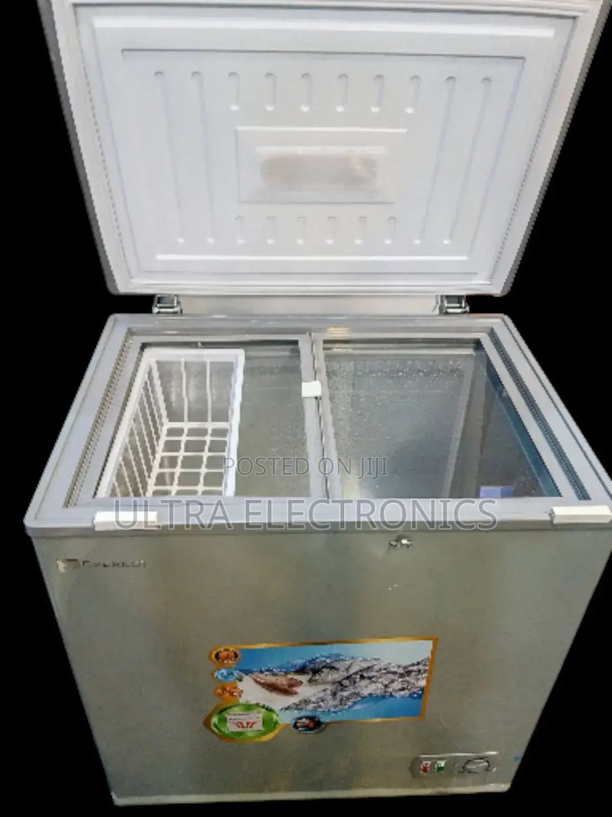 Everest Deep Chest Freezer Wide Voltage R Powerful Comprosser