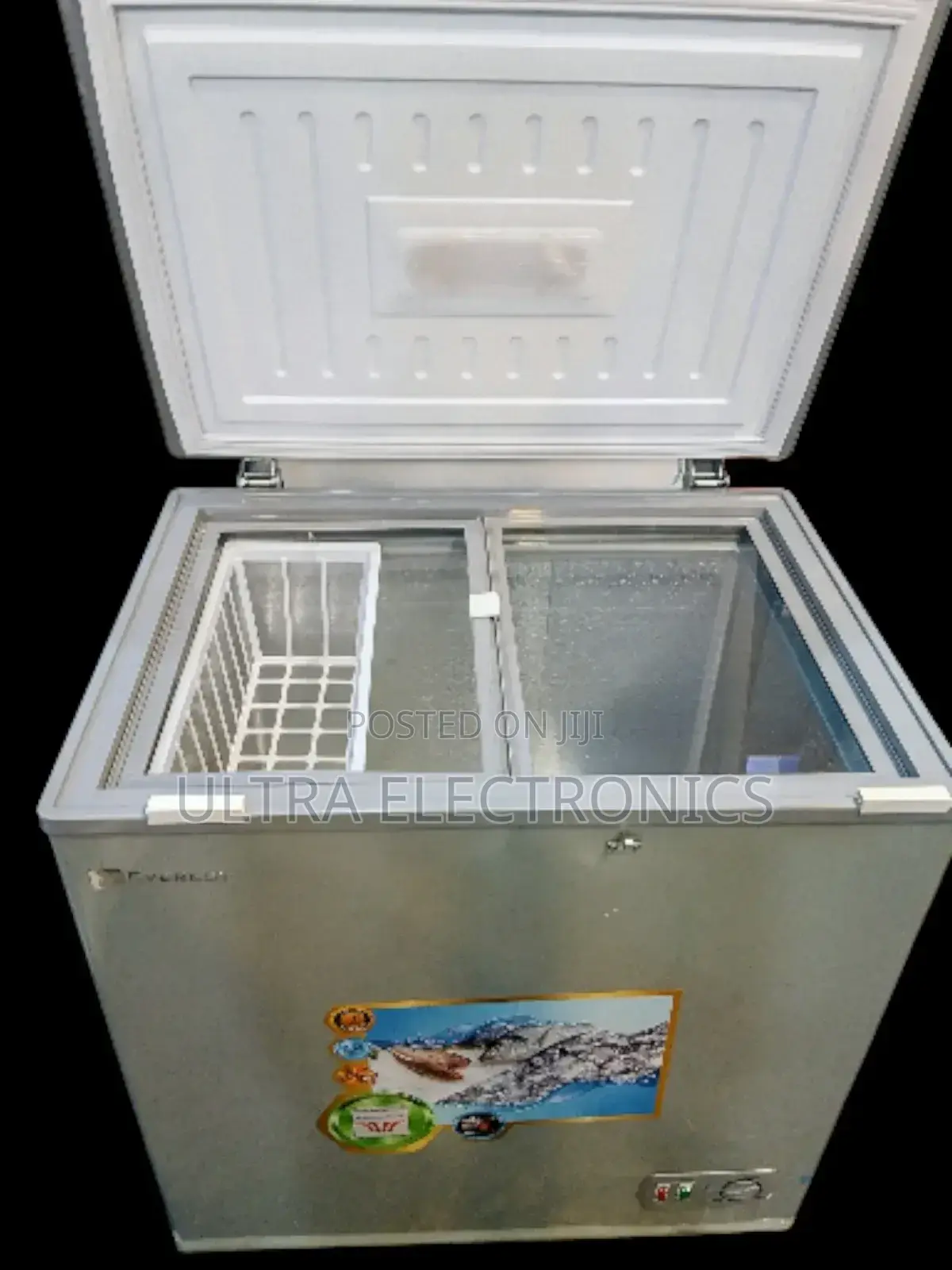 Everest Deep Chest Freezer Wide Voltage R Powerful Comprosser