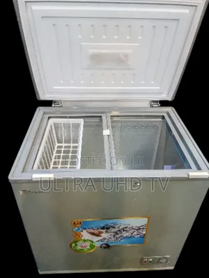 Everest Deep Chest Freezer Wide Voltage R Powerful Comprosser