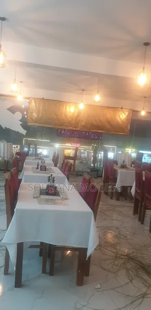 Burgundy Chairs New for Cafe