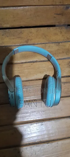 Photo - Slightly Used Headphone