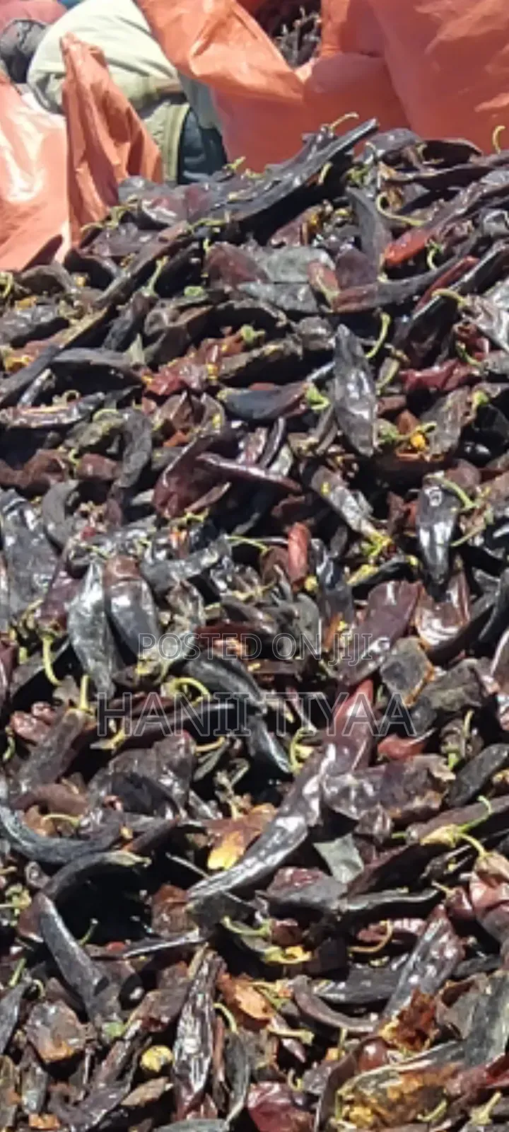 Berberee Ba Bizata in Shaxaleen Waga Kiloo 850