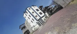 አስቸካይ የሚሸጥ ፔኒሲኦን