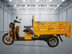 New Bajaj 2024 Yellow