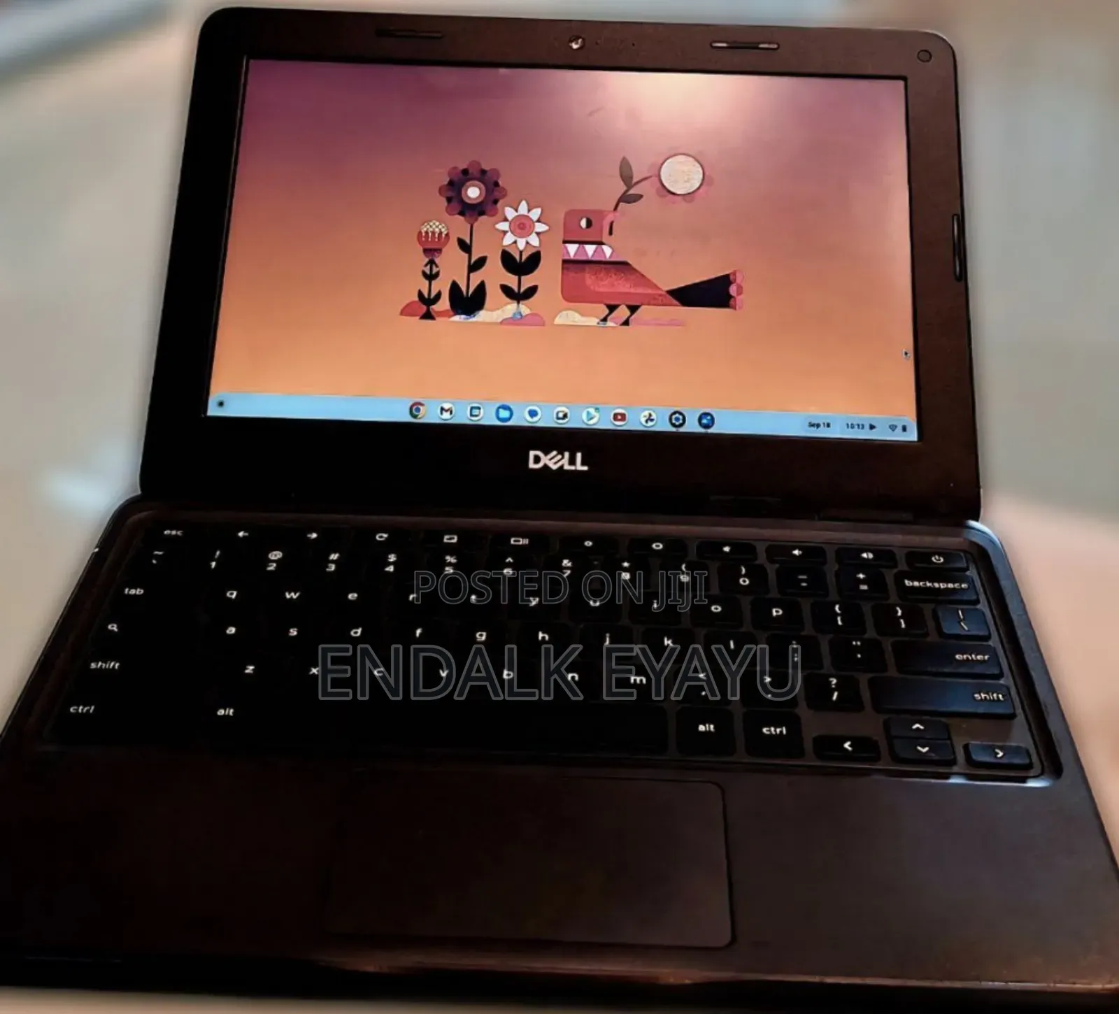Laptop Dell Chromebook 11 4GB Intel SSD 32GB