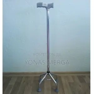 Photo - 4legged Walking Stick飧盅protect Your Loved Ones: Assist Your Parents