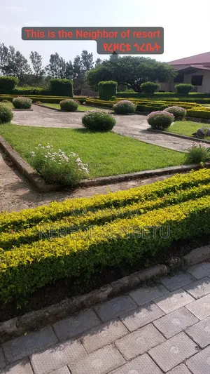 Photo - 20bdrm Duplex in Oromia, East Welega for sale