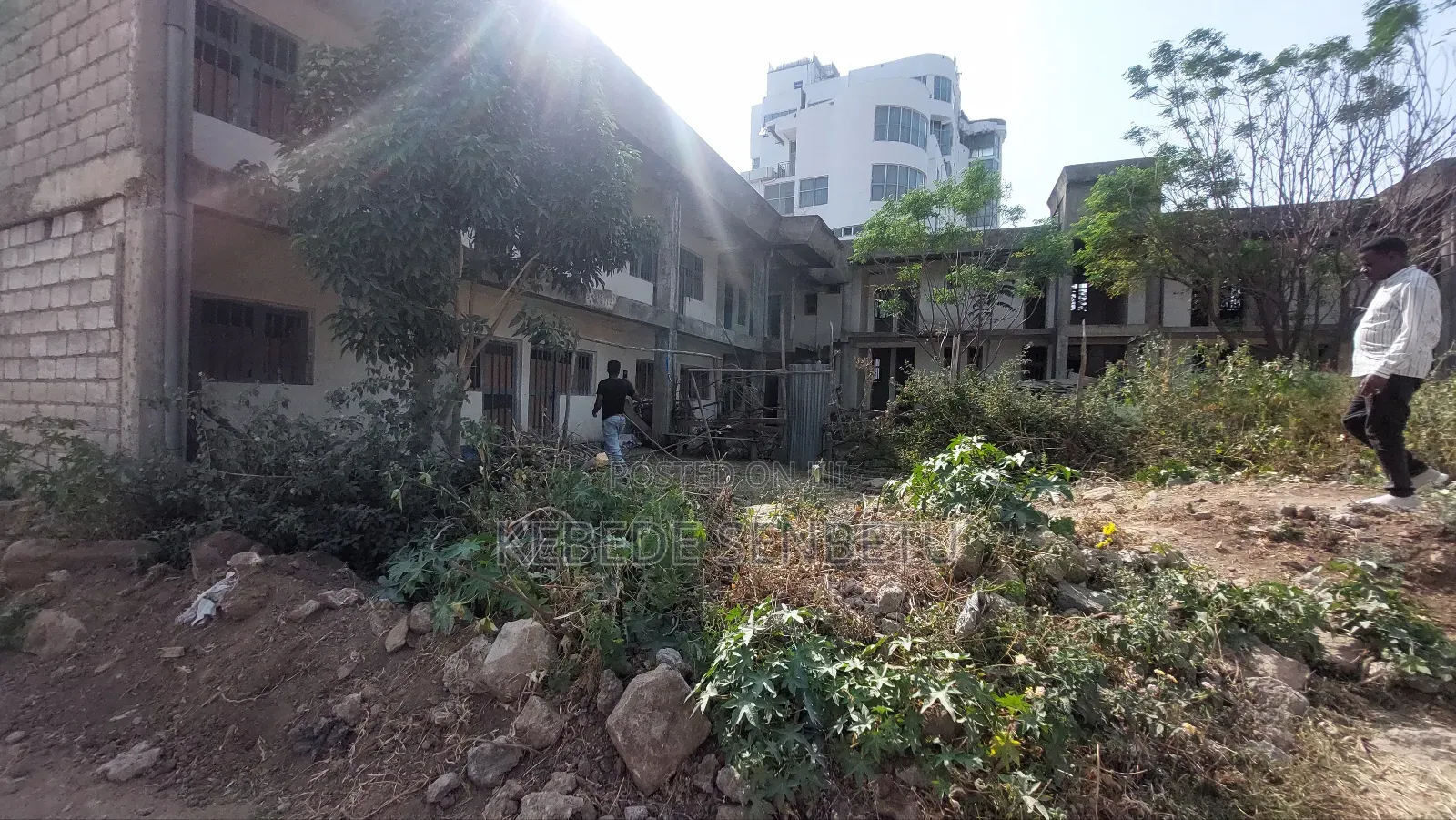 20bdrm Duplex in Oromia, East Welega for sale