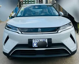 Photo - BYD Yuan Up 32 kWh FWD 2024 Blue