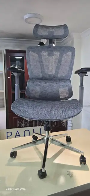 Ergonomic Office Chair