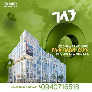 2bdrm Apartment in Temer Properties, Yeka for sale