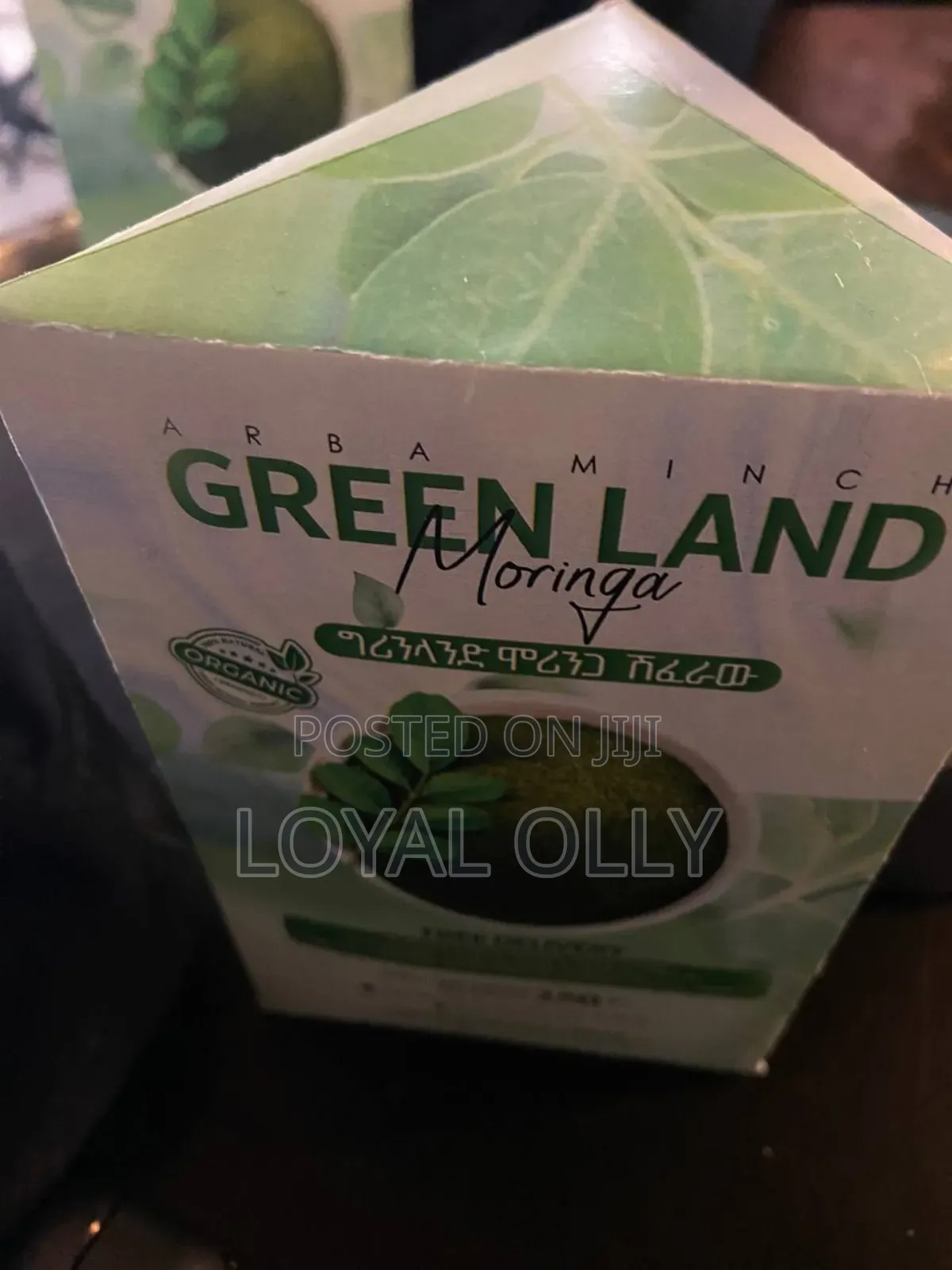 ግሪን ላንድ ሞሪንጋ