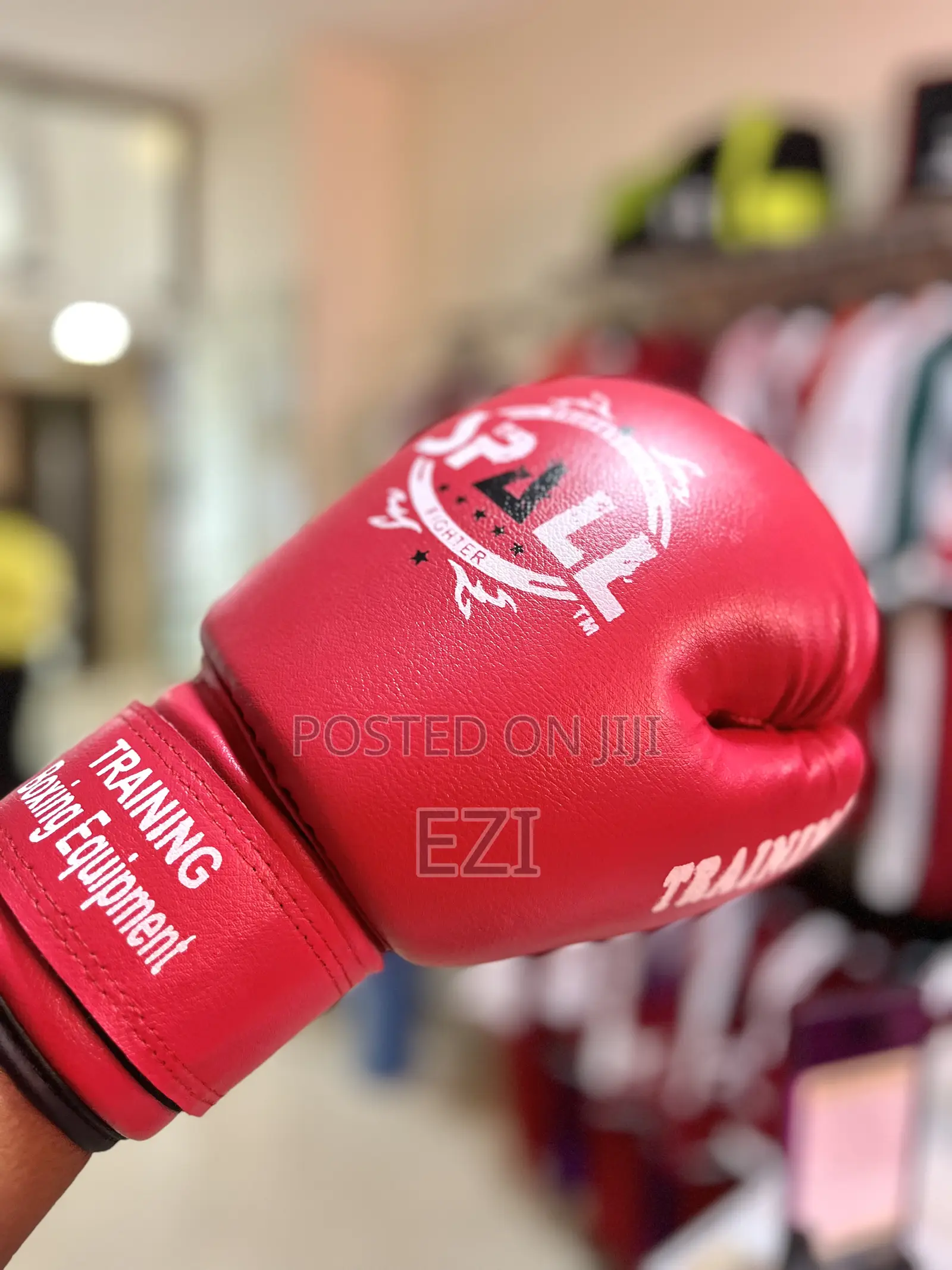 Fighter Gloves Gym