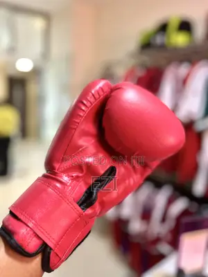 Fighter Gloves Gym