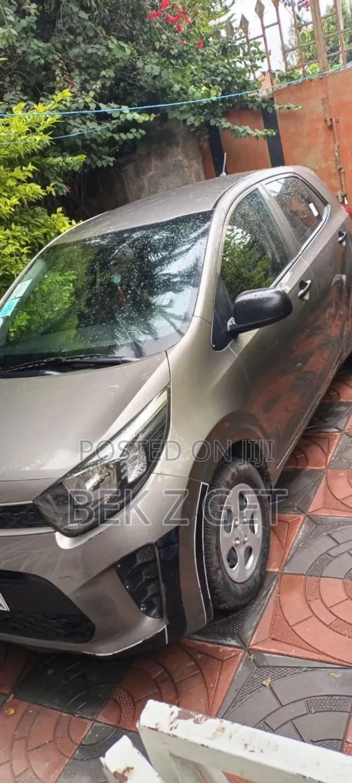 Kia Picanto 2020 Brown