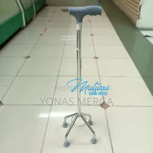 Photo - Walking Stick鄫救product:Extendable Walking Stick