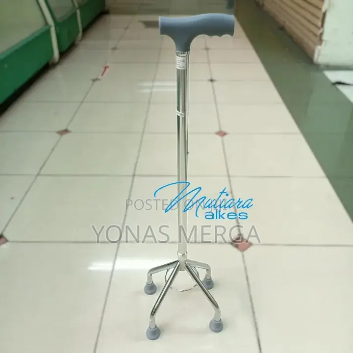 Walking Stick鄫救product:Extendable Walking Stick