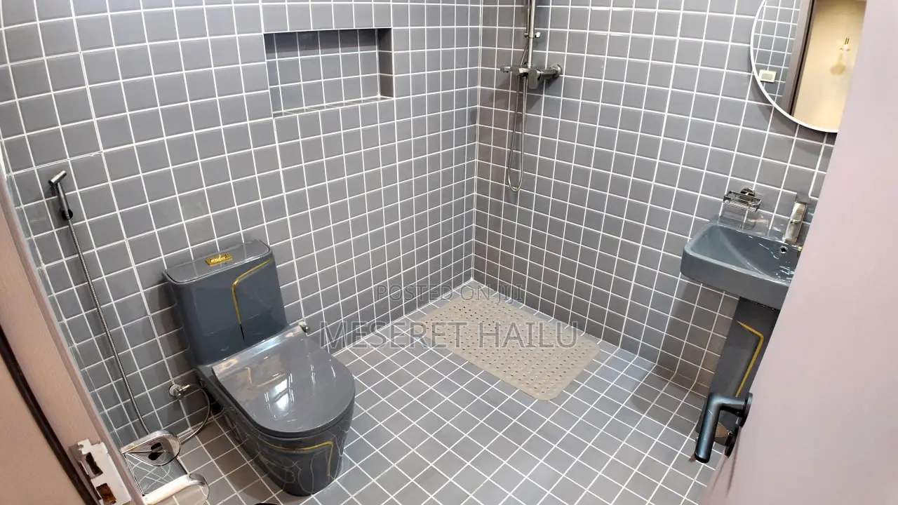 Furnished 3bdrm Apartment in Besrate Geberale, Nifas Silk-Lafto