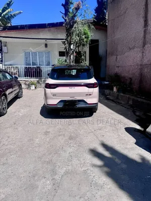 Photo - Hozon Neta Aya 2024 Pink