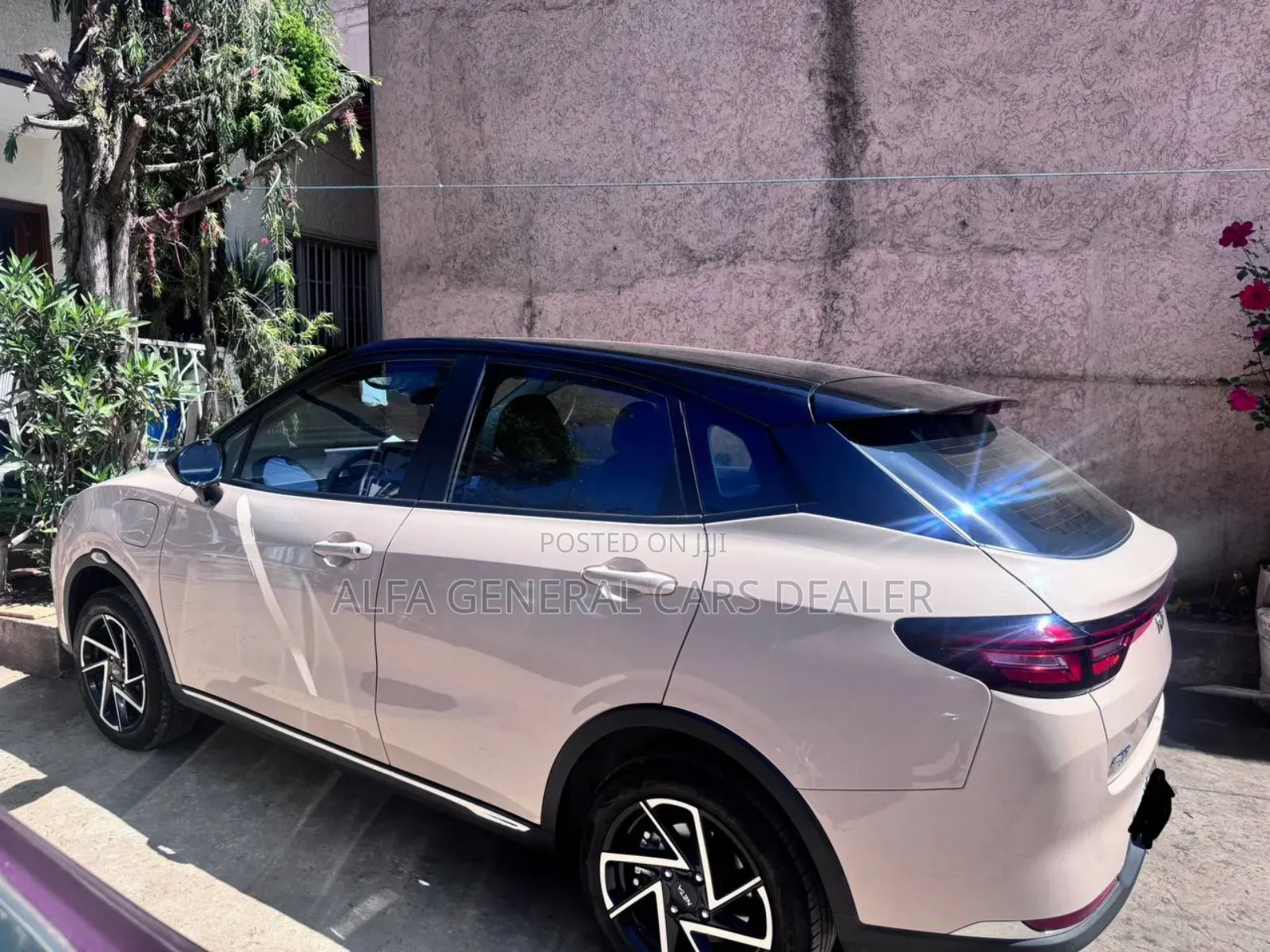 Hozon Neta Aya 2024 Pink