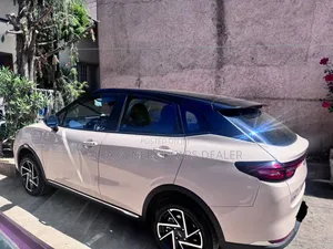 Hozon Neta Aya 2024 Pink