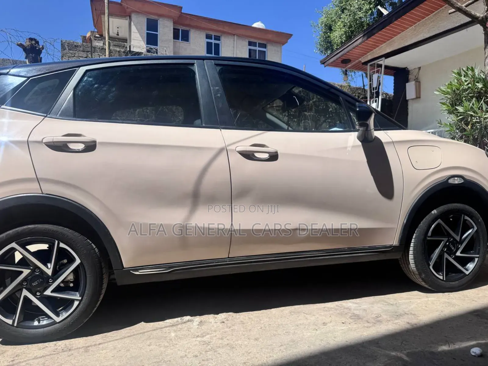 Hozon Neta Aya 2024 Pink