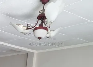 Photo - Ceiling Light