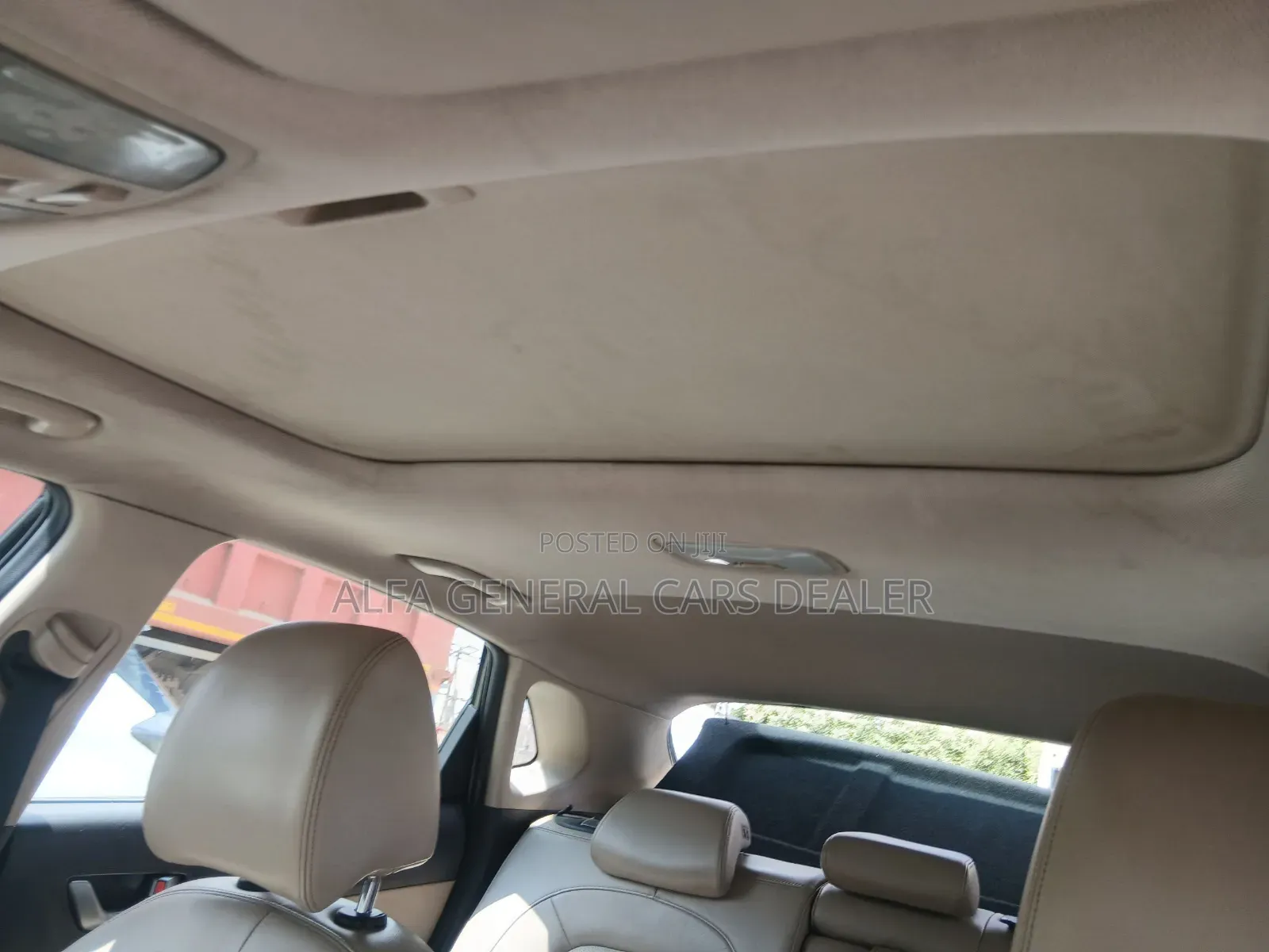 Hozon Neta Aya 2024 Pink