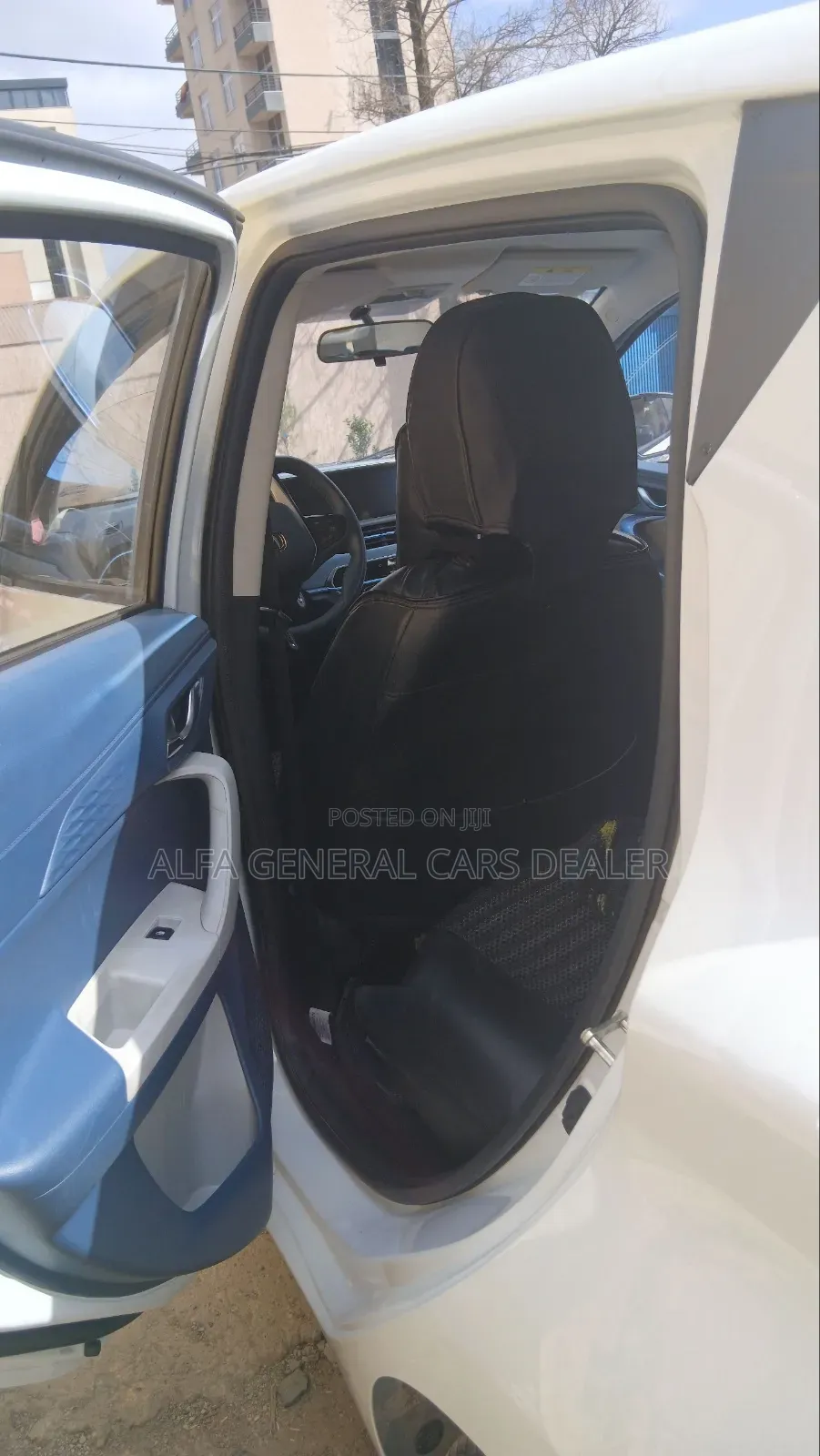 Hozon Neta Aya 2024 Pink