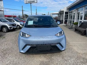 New BYD Seagull 2025