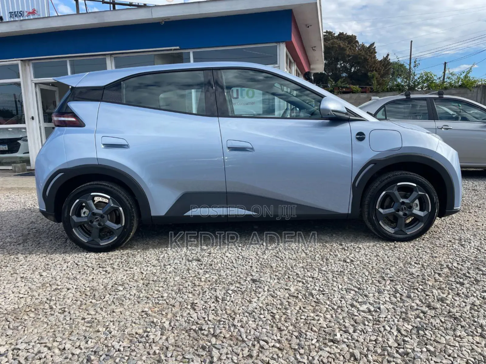 New BYD Seagull 2025