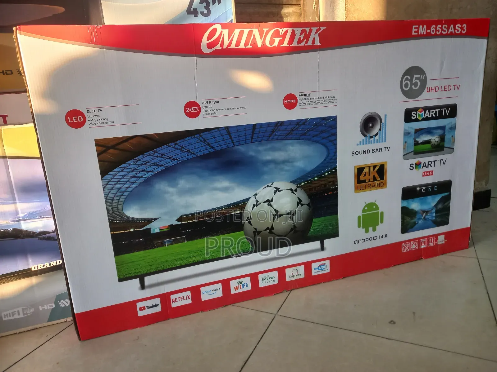 Eminigtek 65 Inch Tv