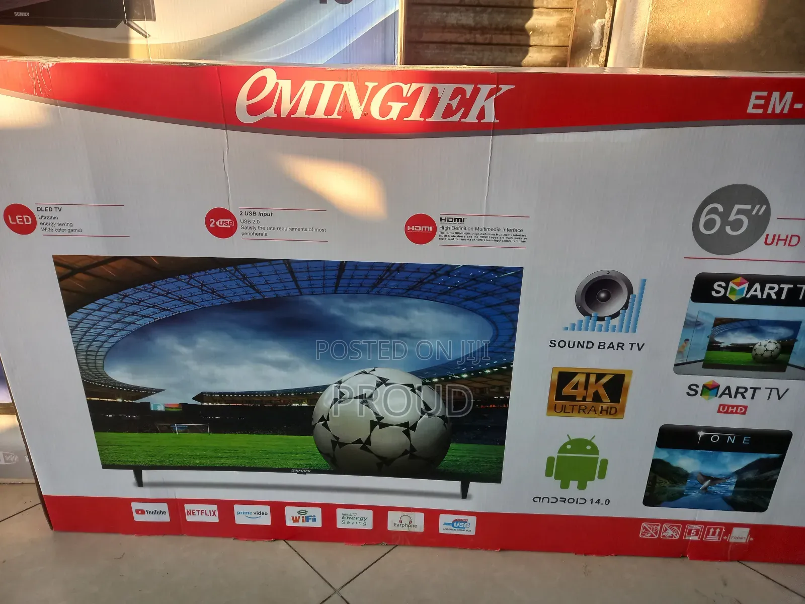 Eminigtek 65 Inch Tv