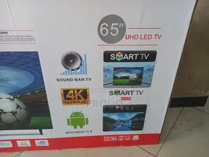 Eminigtek 65 Inch Tv
