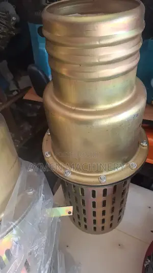 Pump Suction Foot Valve ፉት ቫልቭ ማጣሪያ 6inch