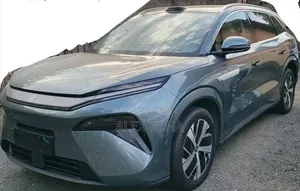New BYD Song L DM-i 2025 Gray