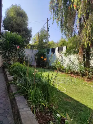 Photo - 5bdrm Villa in Villa House, Bole for rent