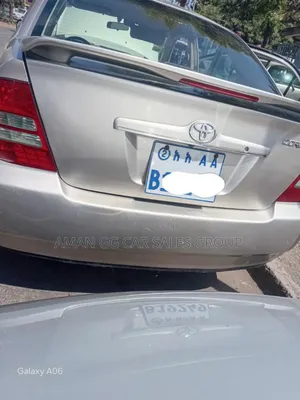 Toyota Corolla 2003 Gray