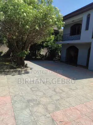 5bdrm House in G+2, Bole for rent